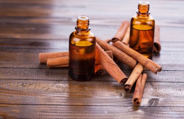 chiết xuát dược liệu quế chiết xuát dược liệu quế