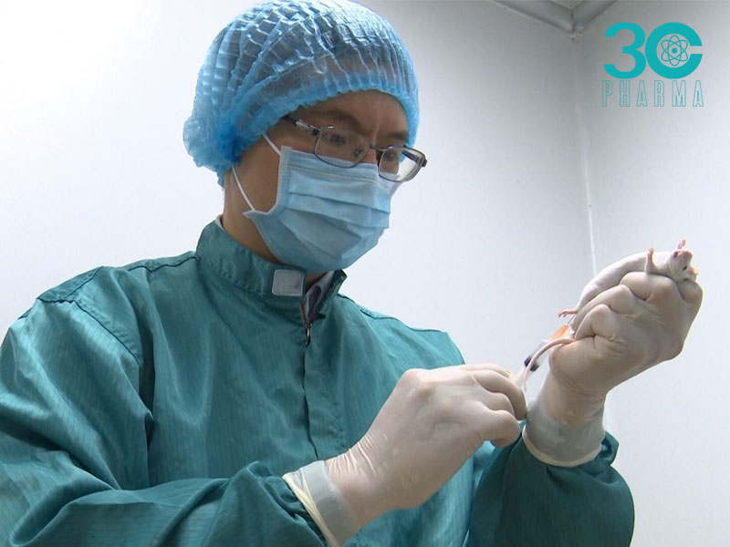 Tiến độ nghiên cứu nội dung vacxin ở Việt Nam